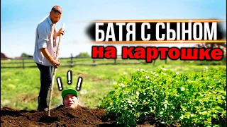 БАТЯ С СЫНОМ НА КАРТОШКЕ