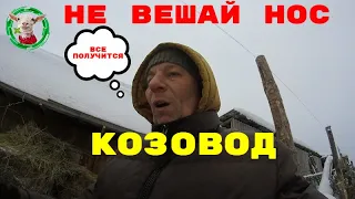 Козы для начинающих козоводов