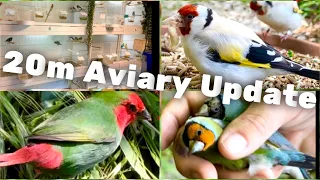 Bird Breeding Update | Finches | Aviary Birds | Aviary Tour | S2:Ep11 #birds #bird #nature #pets