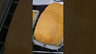 Fresh Baked Bread at Home