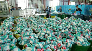 The Process of Harvesting Coconuts and Exporting Them Abroad - Thai Street Food