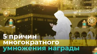 Из-за Этих Причин АЛЛАХ УМНОЖАЕТ НАГРАДУ МНОГОКРАТНО! | Шейх АбдурРаззак Аль-Бадр