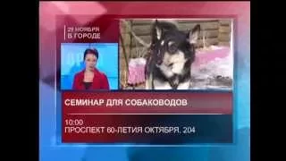 Город 28/11/2014 GuberniaTV