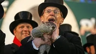 Groundhog Day 2014: Punxsutawney Phil Sees Shadow