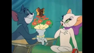 Tom and Jerry - Casanova Cat (1951)