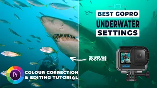 Best GoPro 10 Underwater Settings & Colour Correction Editing Tutorial