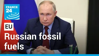 War in Ukraine: EU details plans to reduce reliance on Russian fossil fuels • FRANCE 24 English