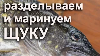 Разделка и мариновка Щуки. Просол из Щуки.