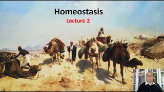 LECTURE 2: Homeostasis