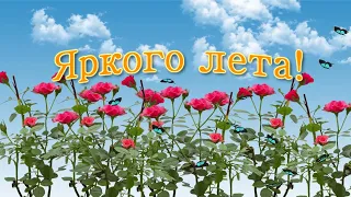 🌺 Пусть лето будет ярким! 🌺 / Красивая видео открытка с пожеланием яркого лета