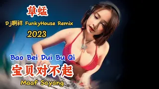 草蜢 - 宝贝对不起 - (Dj啊祥 FunkyHouse Remix 2023) - Bao Bei Dui Bu Qi - Maaf Sayang #dj抖音版2023