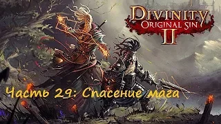 Divinity original sin 2 . Прохождение на русском. Часть 29: Спасение мага