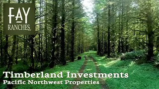 Timberland Investments | Pacific Northwest Properties For Sale | Fay Ranches