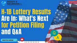 H-1B Lottery Results Are In: What's Next for Petition Filing and Q&A