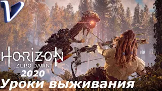 Horizon Zero Dawn (2020 PC) 2K | 1440p ➤ Прохождение #1 ➤ УРОКИ ВЫЖИВАНИЯ