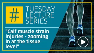 Calf muscle strain injuries - zooming in at the tissue level- by Prof Craig Purdam