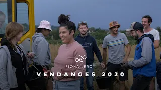 Domaine Fiona Leroy - Vendanges 2020