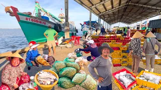 Cảng Biển Lớn Nhất Sóc Trăng | Chợ Kênh Thứ 3 Trần Đề