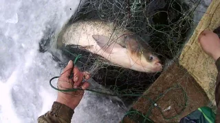 fishing in private lakes in winter. Ловля рыбы зимой сетями на частном  водоем.