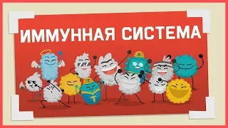 Edu: Как работает иммунная система человека