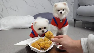 Gotta have Chicken & Beer to Cheer for the World Cup! I Made Chicken & Beer for the Puppies