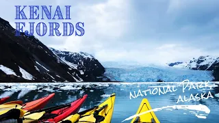 Kenai Fjords National Park Boat Tour: Glaciers, Wildlife, Epic Alaska Adventure