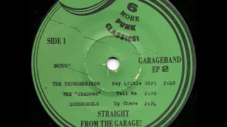 V/A 6 More Punk Classics! VOL 2 Straight From The Garage (60'S GARAGE ROCK)