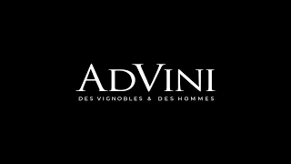 Advini - Corporate video - 2024
