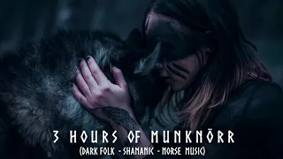 3 Hours of Dark Folk - Shamanic - Norse Music by Munknörr