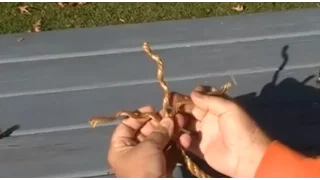 How to Tie a Back Splice