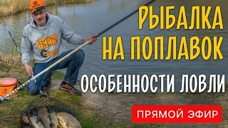 Рыбалка на поплавок. Виды, снасти и особенности ловли в зависимости от условий. Прямой эфир.