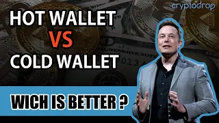 Wich is Better HOT WALLET VS COLD WALLET CRYPTO ?