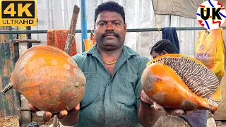 KASIMEDU SELVAM CONCH CUTTING | CONCH CUTTING SKILLS | CONCH CUTTING VIDEOS | UK SONS MARINE