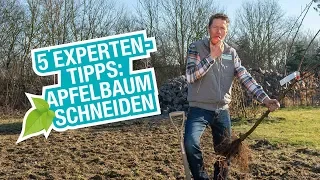 Der Apfelbaum: Pflanzen, schneiden und düngen