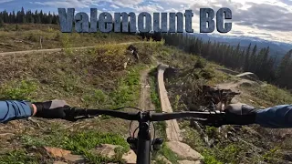 Valemount Stinger and Tin Foil Hat DH