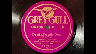 Deedle Deedle Dum  - Joseph Samuels Orchestra -  Arthur Hall vocal -1920's Dime Store Dance Music