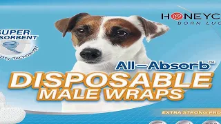 Top 4  best Dog Diapers 2023