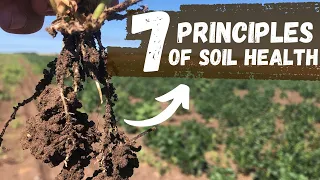 7 Principles of Soil Health | Regenerative Agriculture