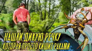 НАШЛИ ДИКУЮ РЕЧКУ ПОЛНУЮ РАКОВ!!ПОПАЛИ НА ЖОР РАКА! КИТАЙСКИЕ РАКОЛОВКИ-ЗОНТИКИ! ВЕДРО РАКОВ ЗА ЧАС!