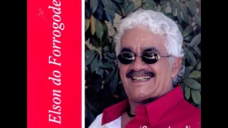 Elson do Forrogode - Canta Agepê