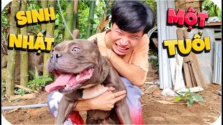 Tony | 1 Ngày Nuôi Thú Cưng 🐶 Tập 3