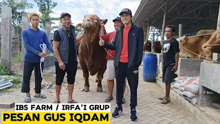 GUS IQDAM KELILING KANDANG SAPI TERBESAR di KEDIRI || Gus Iqdam Terbaru‼️