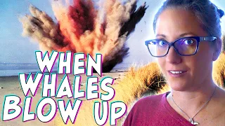 When Whales BLOW UP a Marine Biologist Reacts