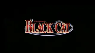 Black Cat Capitulo 22 en Español latino (Completo)