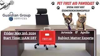 Pet First Aid W/ SomeFrenchieNamedApollo