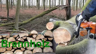 Brennholz machen Teil 2