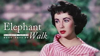 Elizabeth Taylor tribute | Elephant Walk