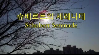 슈베르트의 세레나데 Schubert Serenade -Schubert 곡 -윤치호 노래 -세계명가곡 특선 22