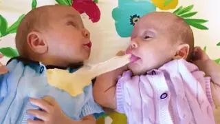 What will parents feel when they see the angels...🤮🤮🤮?#41 - Funny Baby and Kids - Funny Pets Moments