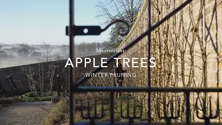 Masterclass: Apple Trees – Winter Pruning with Andy 'Apples' Lewis